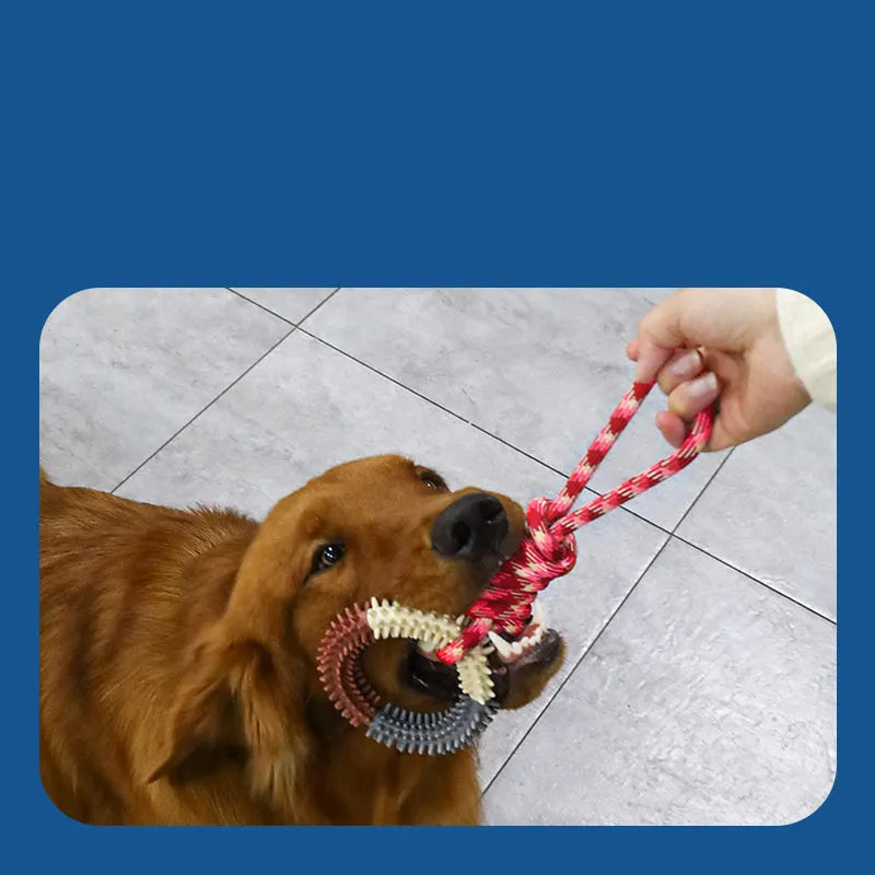 Blue braided rope dog toy with a knot, shown on a wooden floor.