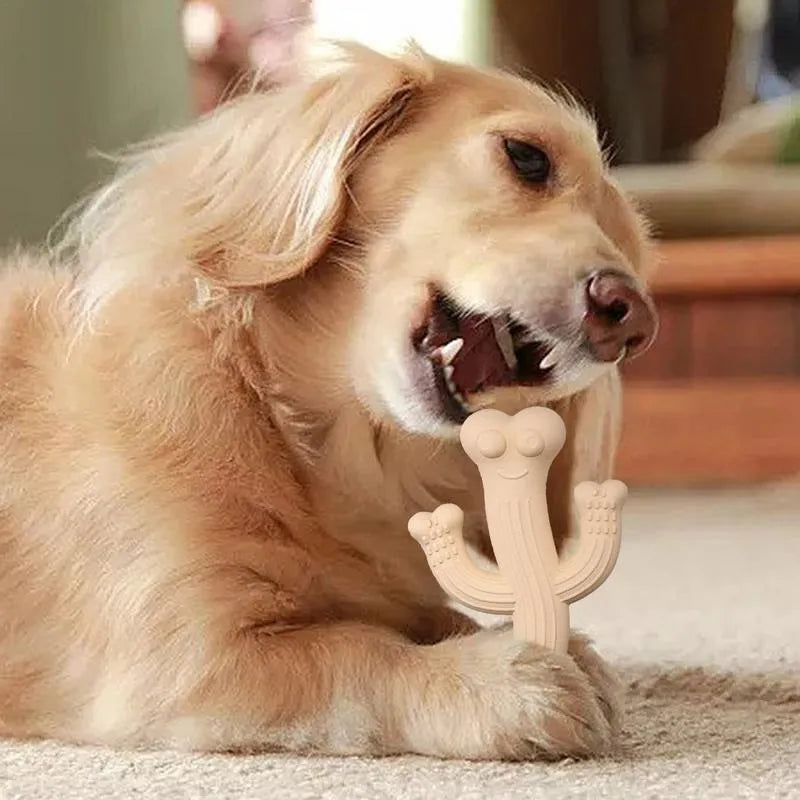 Beige, blue, and purple cactus-shaped dog chew toy made from bamboo fibre and rubber, shown in small and large sizes.