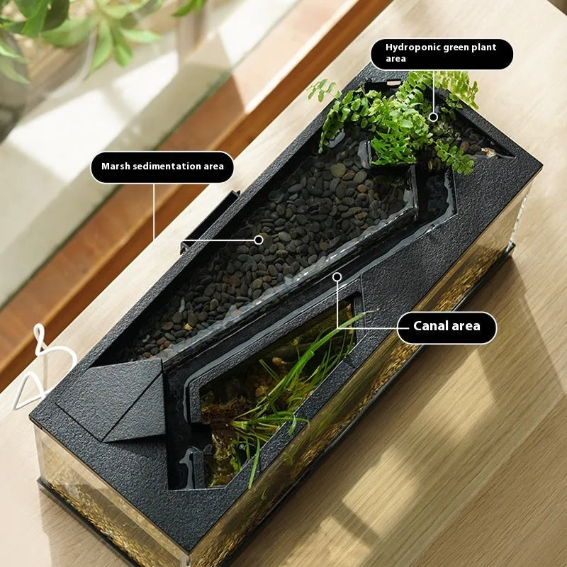 Small acrylic lazy aquarium with integrated filter, water pump, built-in lamp, heating mat, and external light on a desk