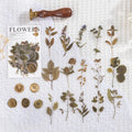 Set of dried flowers artistic stickers for journal decoration showing eight colour designs on 70mm PET sheets