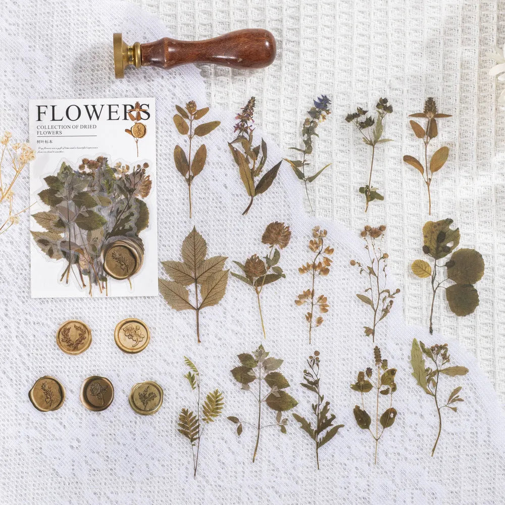 Set of dried flowers artistic stickers for journal decoration showing eight colour designs on 70mm PET sheets