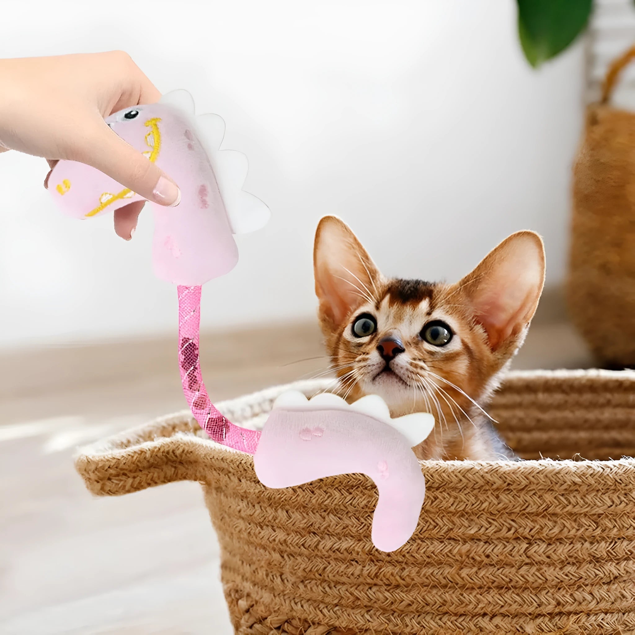 Set of four cat chew toys including rope, fish, mouse, and bunny designs for indoor play