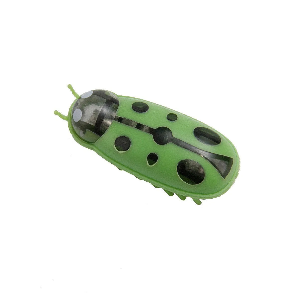 Electric jumping insect cat teaser toy in ladybug style red and black colour variation
