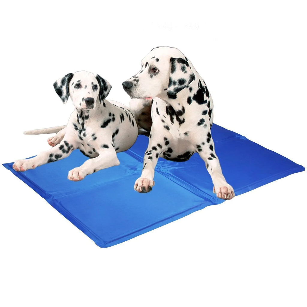 Blue dog cooling mat with ice crystal filling placed on a floor - pressure activated cooling pad for summer