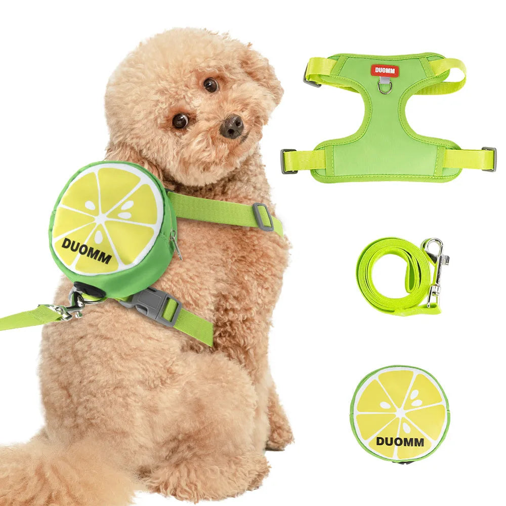 Pet backpack chest strap set with anti-slip rope in green, orange or pink colours