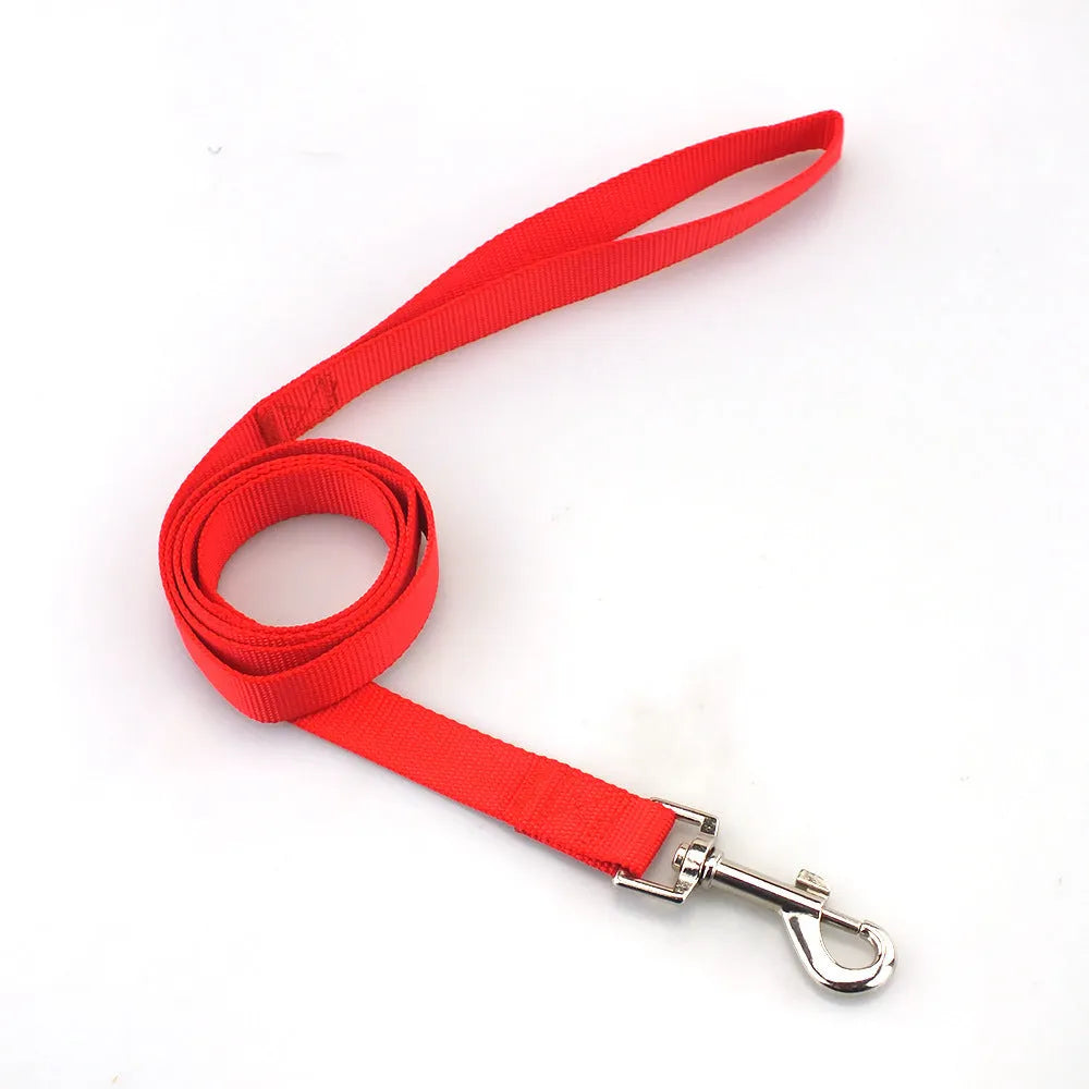Solid colour polyester dog lead showing loop handle and single rope in one of twelve available colours.