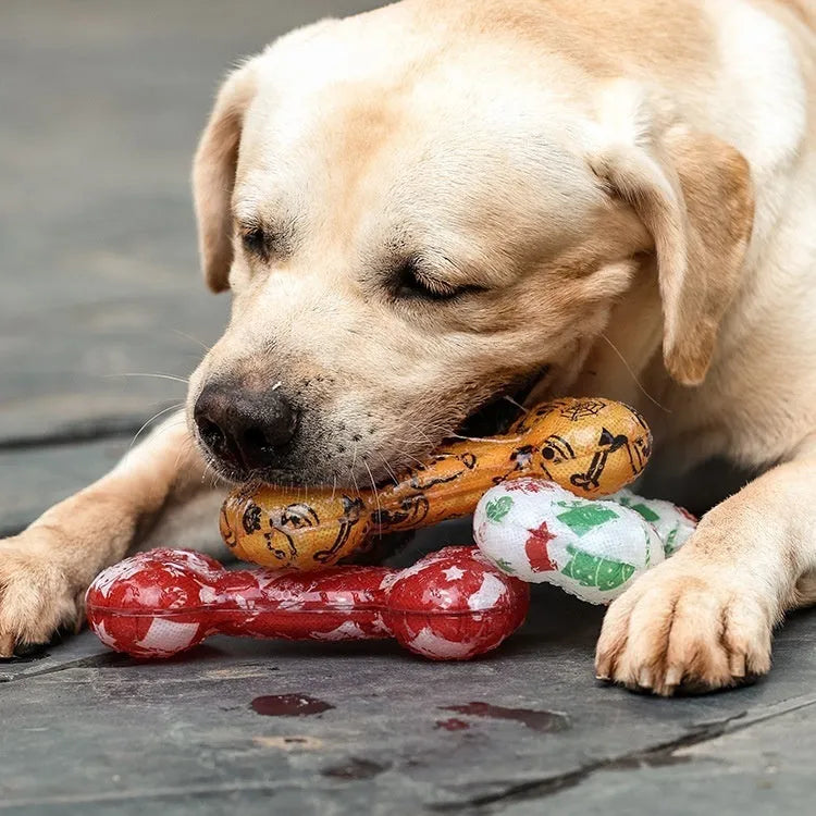 Printed bone-shaped TPR dog chew toy with squeaker in seasonal colour options