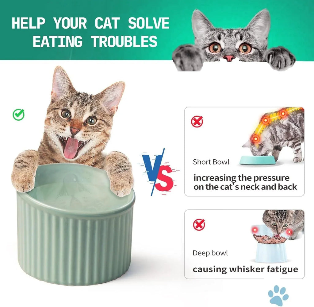 Ceramic elevated cat bowl in green colour with tilted round design for comfortable feeding.