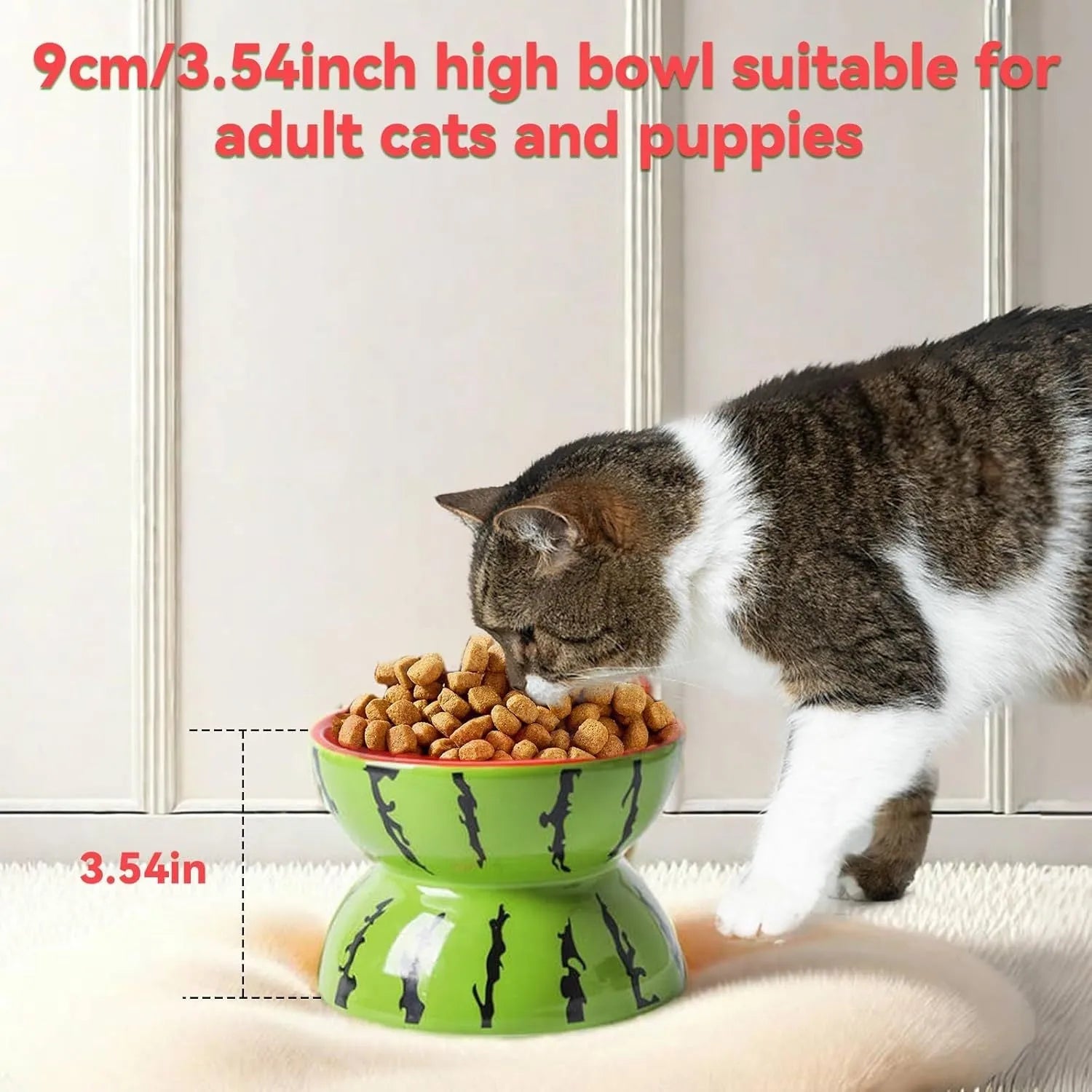 Ceramic elevated cat bowl with tilted orange fruit pattern and non-slip base.