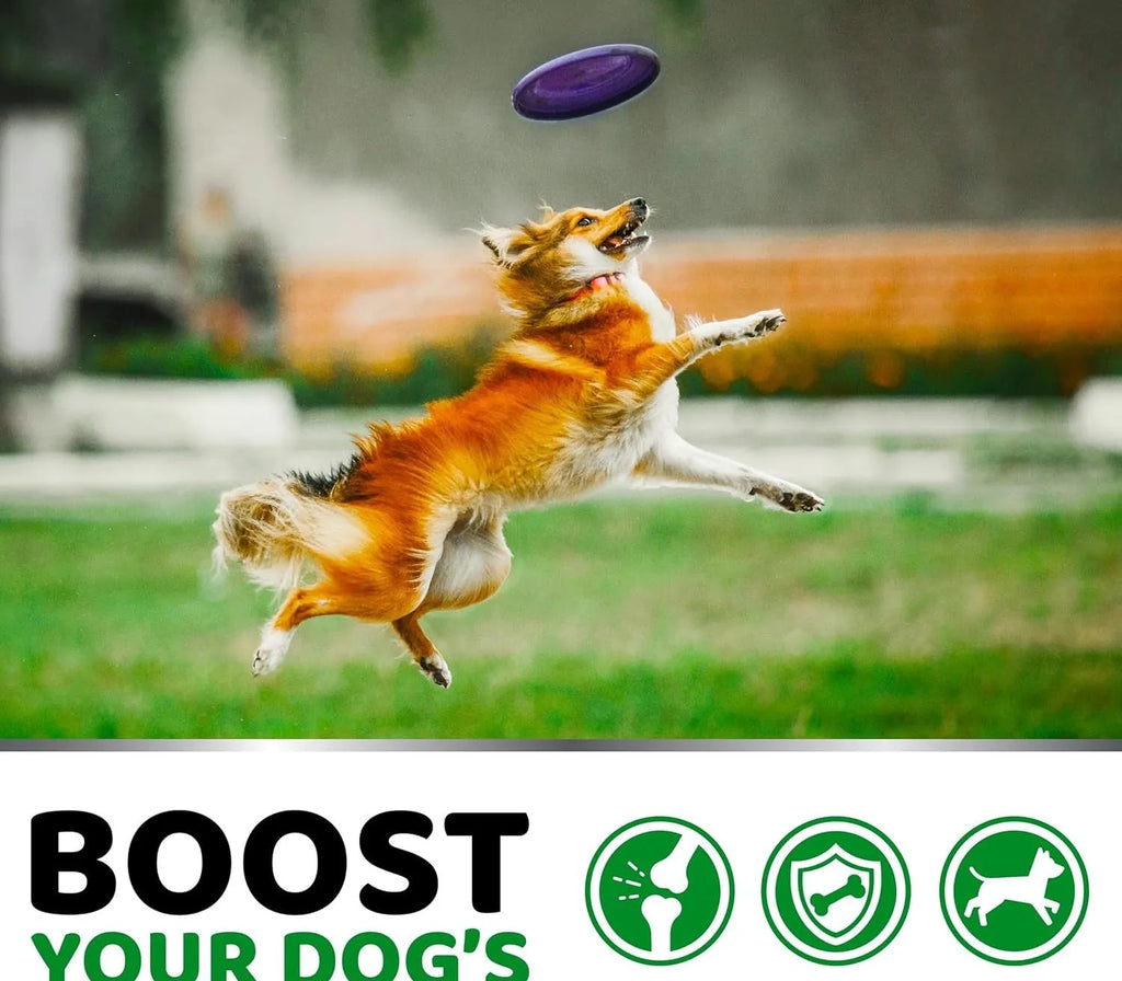 Pet hip and joint supplement chondroitin soft particles for dog joint support