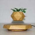 Hexagonal wood grain magnetic levitating flower pot floating above a circular black base on a desk.