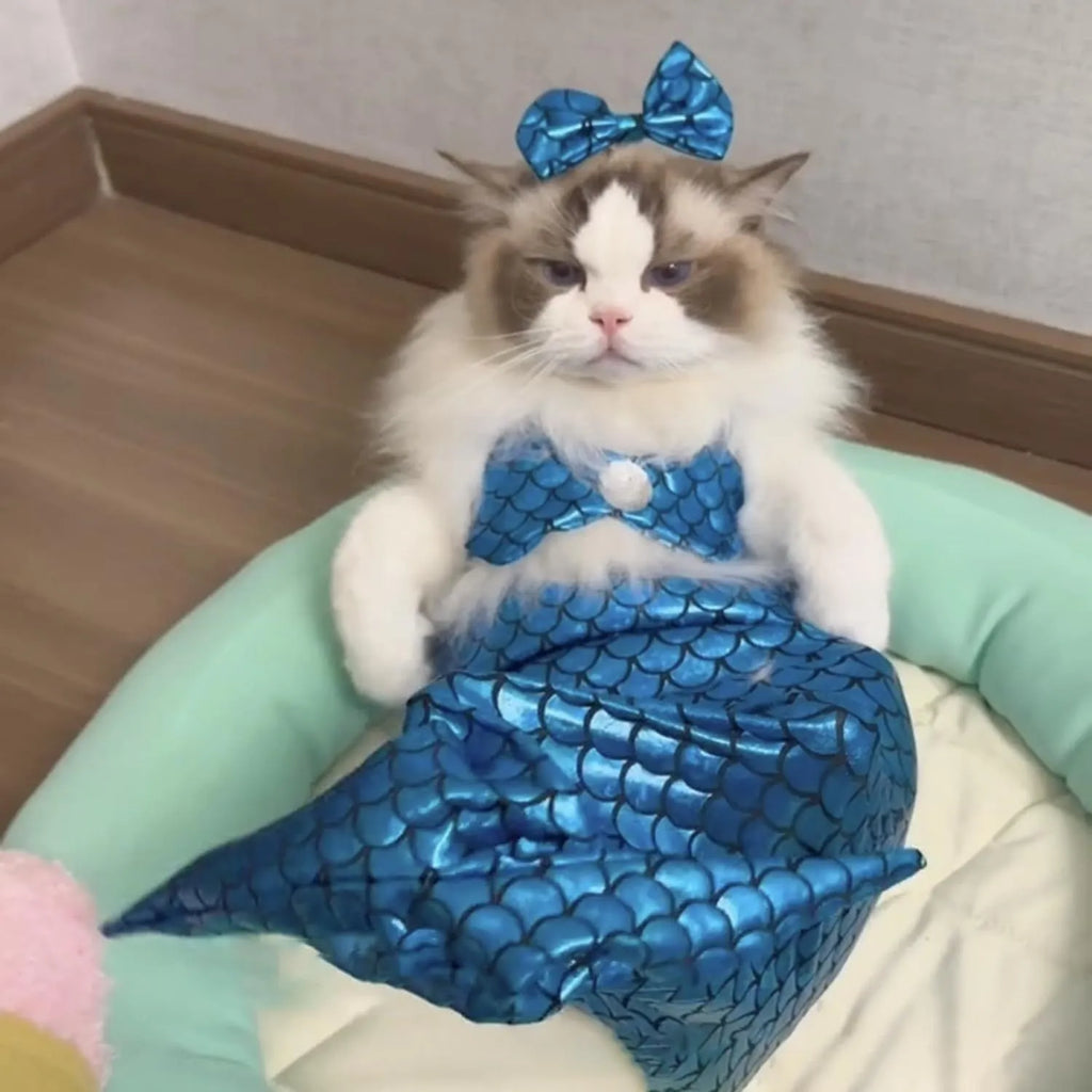 Blue pet mermaid costume with scale pattern on a cat, showing elastic chest strap and long fishtail.