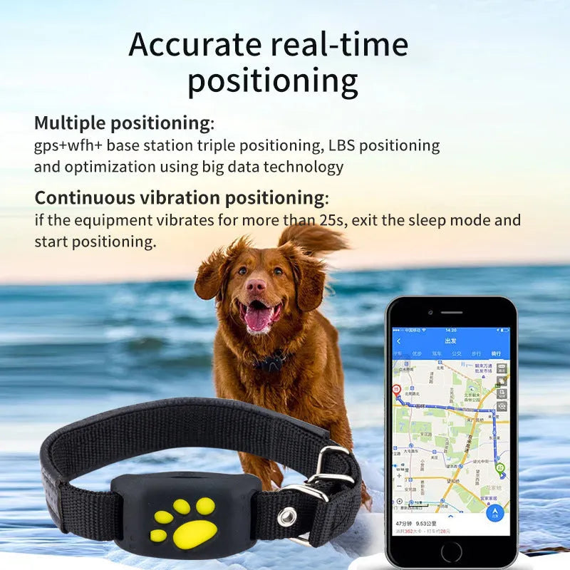 Waterproof GPS pet tracker device in multiple colour options showing compact dimensions