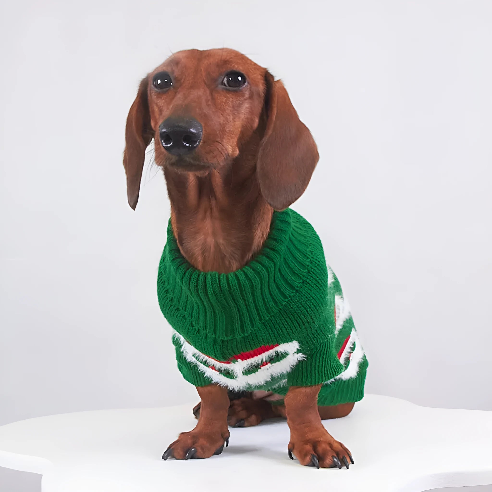 Four coloured pet Christmas sweaters with mink lining in purple, red, green, and khaki sizes 6/XS to 16/XXL