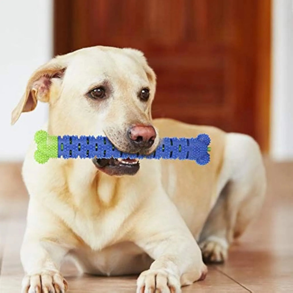Blue and green silicone dog molar tooth cleaning toy with textured brush head and nodules, 25cm long.