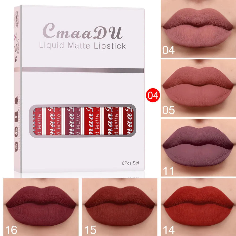 Box containing six tubes of matte finish, waterproof lip gloss in assorted styles.