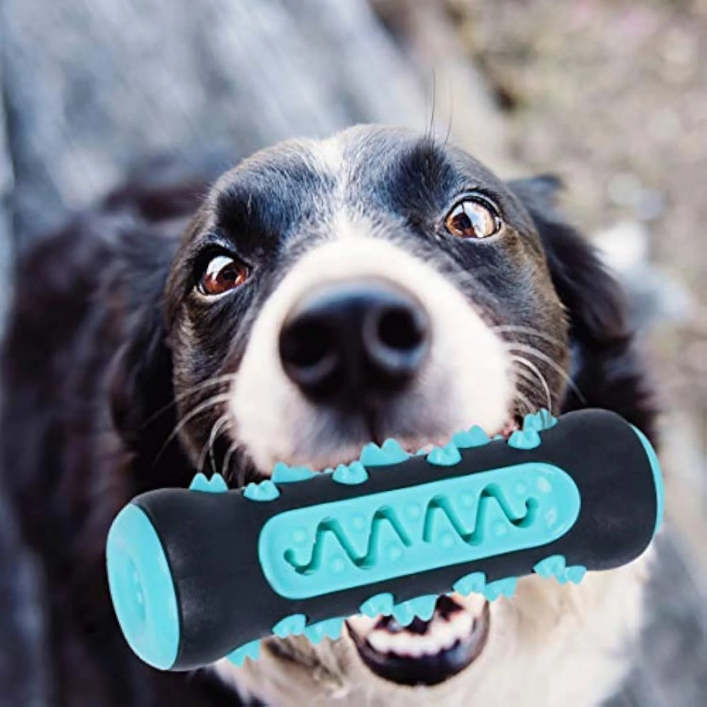 Natural rubber dog toothbrush chew toy in blue, showing textured surface for dental cleaning.