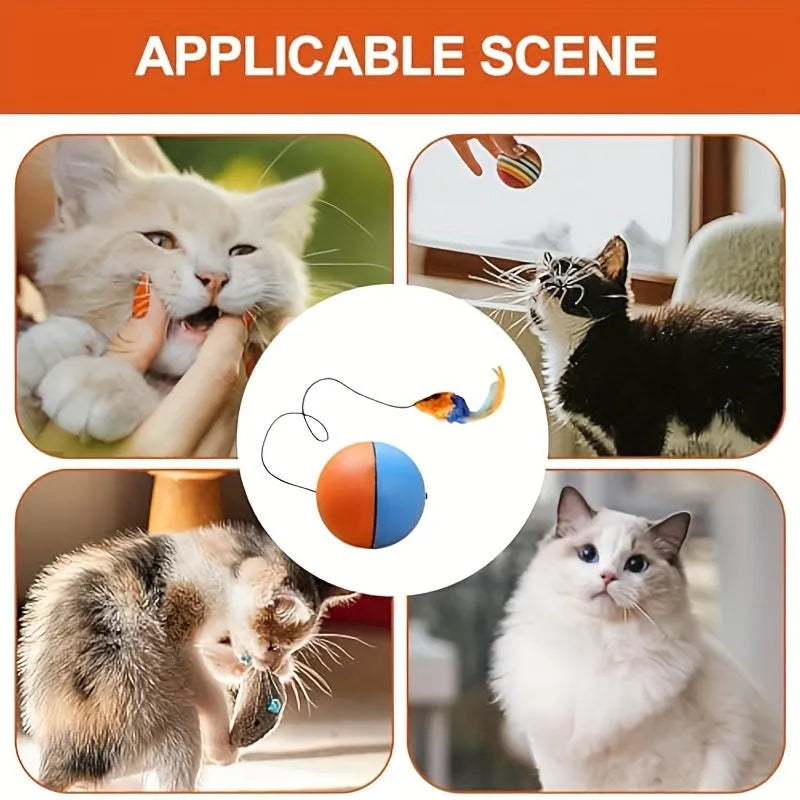 Interactive blue and orange cat toy with plush mouse and ball elements for feline exercise
