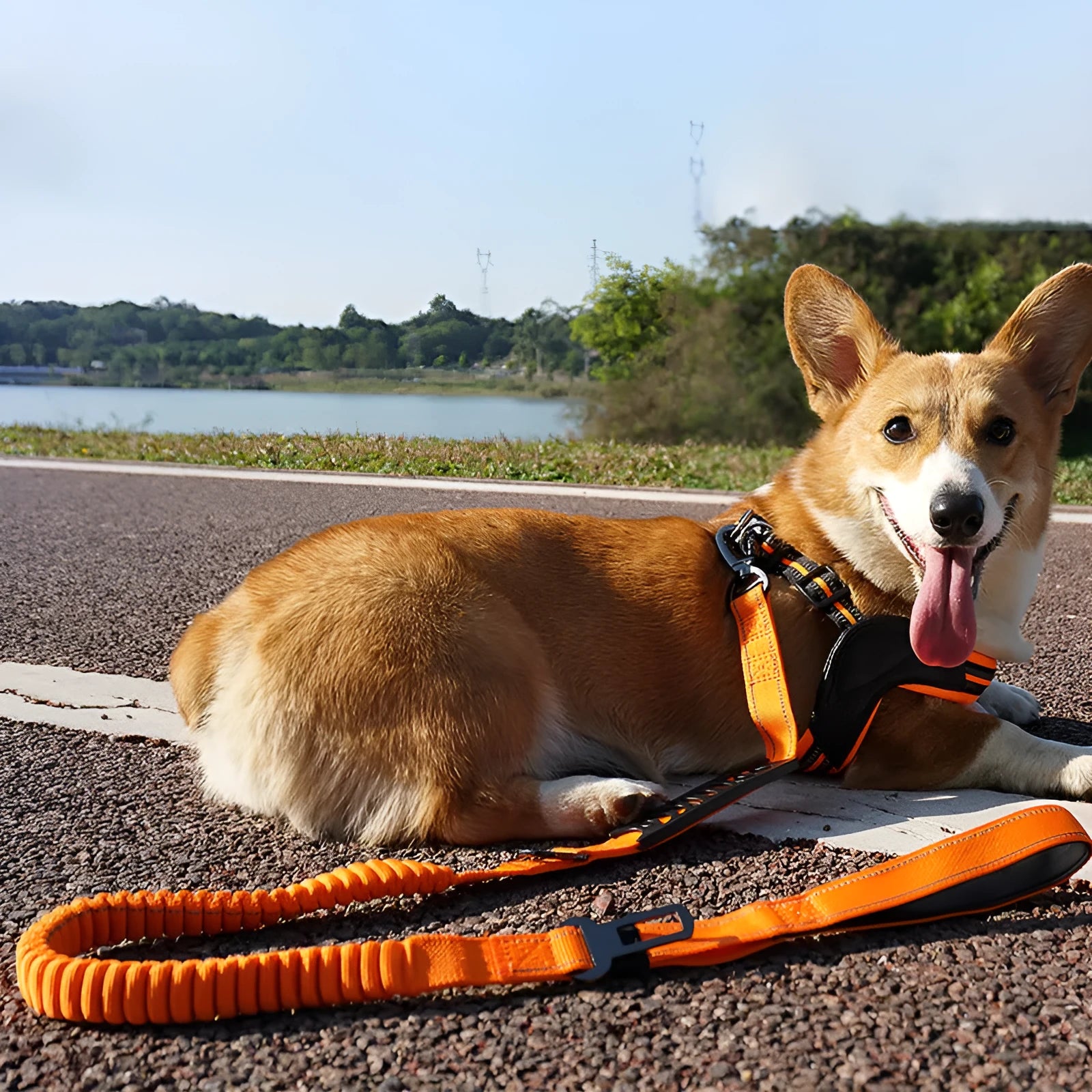 Black retractable reflective nylon traction belt for dogs with hand-held buffer grip