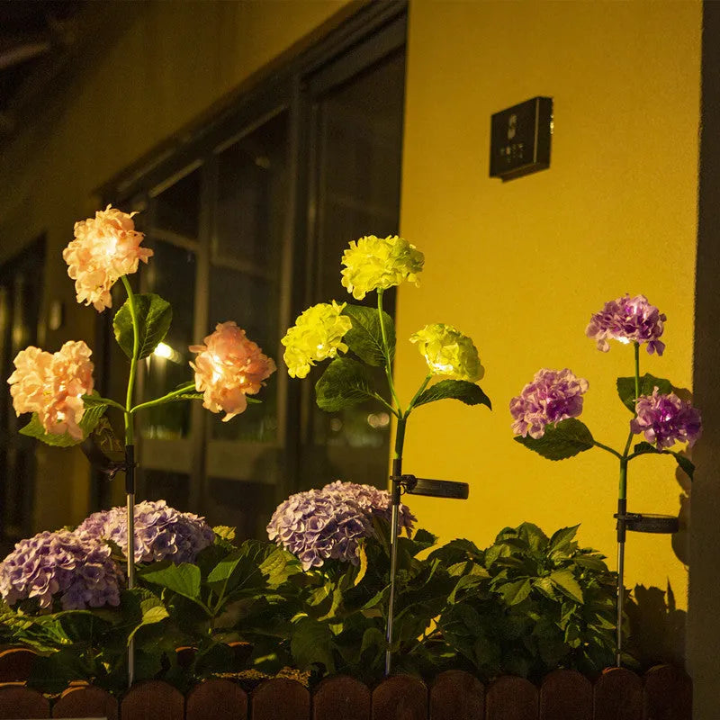 Solar hydrangea garden lights with plant modelling in outdoor setting showing colour variations