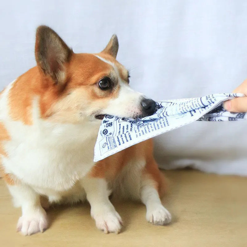 Tearproof squeaking dog toy in playing card or newspaper design for corgi and terrier breeds