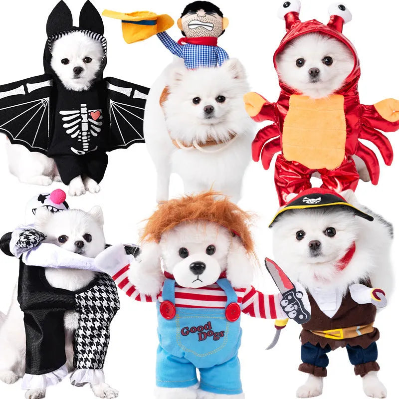 Halloween dog costume selection showing bat, clown, devil, and pumpkin designs for dogs.