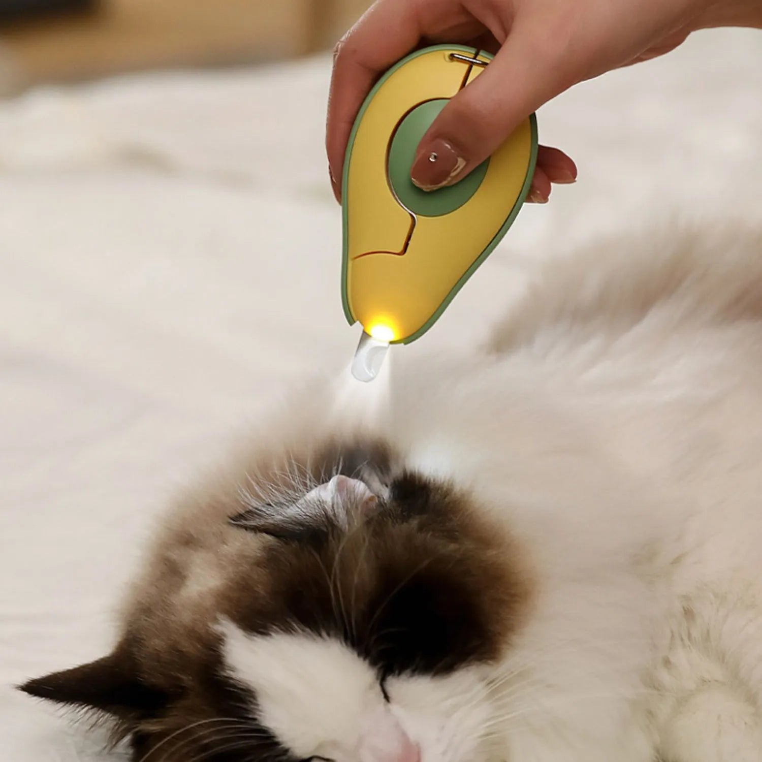 Professional pet nail clipper with LED light for small dogs and cats, in green colour option.