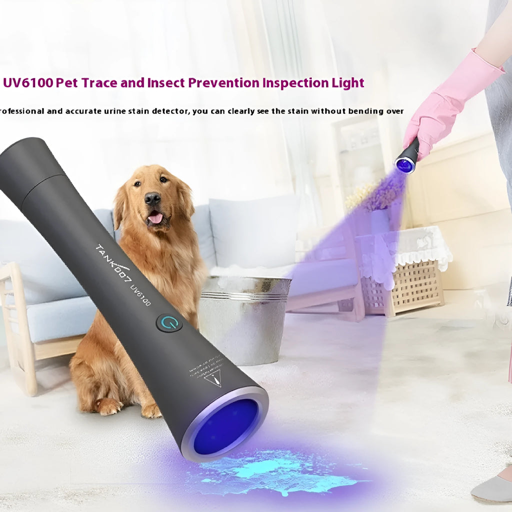 Black anodized aluminium UV flashlight for detecting pet urine stains and insects, showing USB-C charging port.