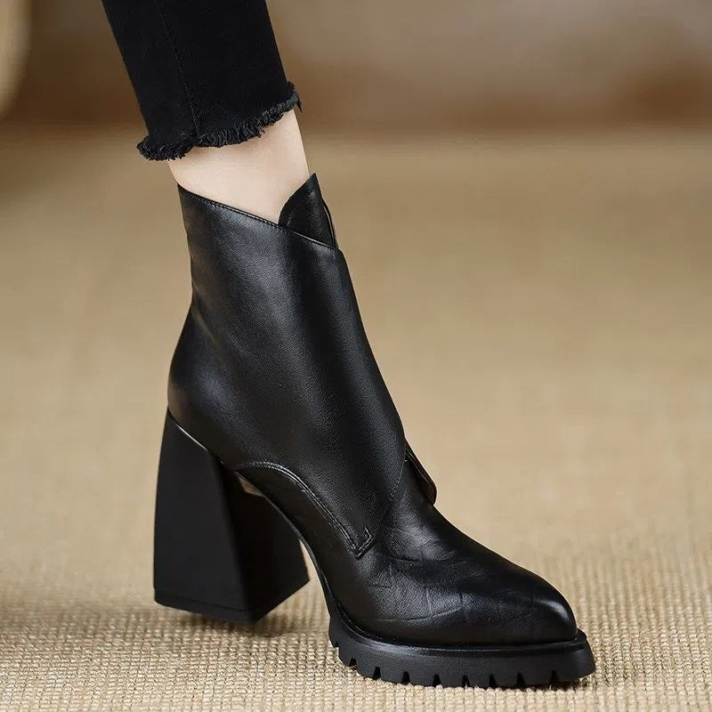 Retro chunky heel ankle boots for women with velvet lining, waterproof platform, and pointed toe in brown colour option