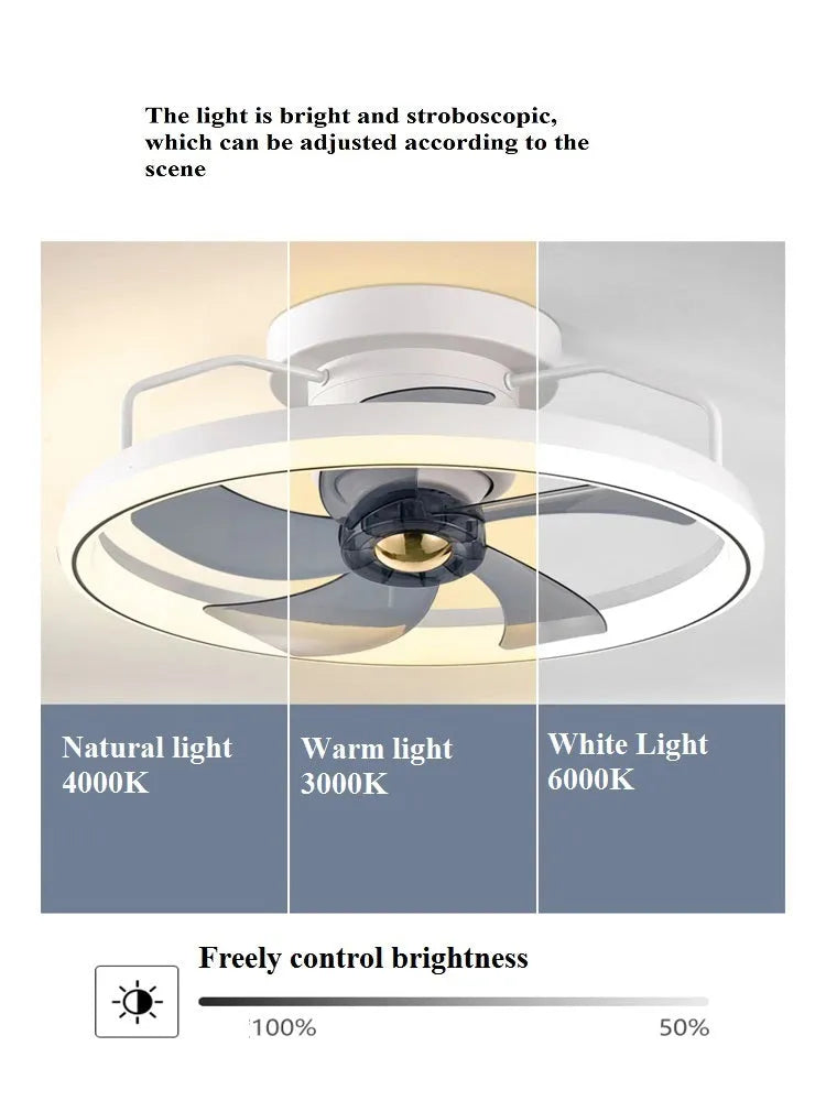 Modern ceiling fan lamp with light fixture in one of seven colour options
