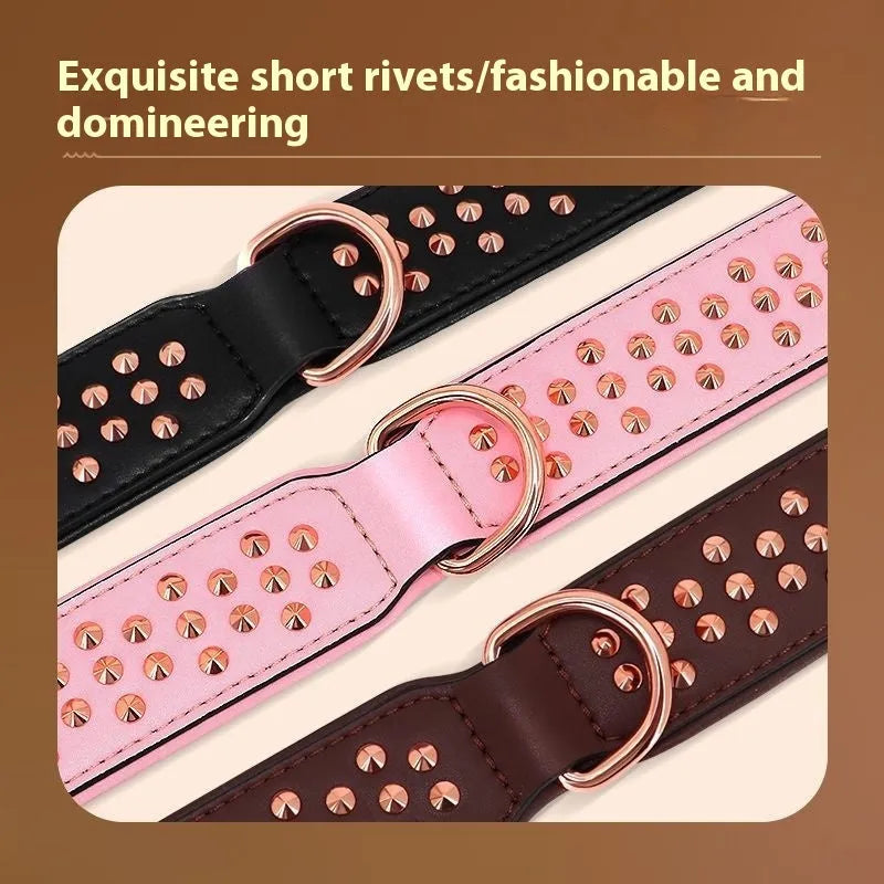 Leather dog collar with stainless steel rivets in black, chocolate, and pink colour options.