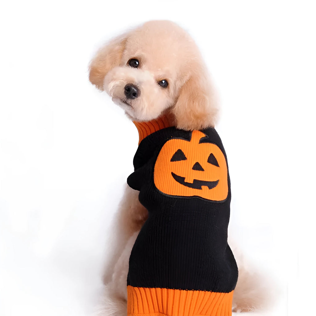 Knitted pumpkin dog sweater in orange black colour on a small dog, shown with measured sizing from XXS to 2XL