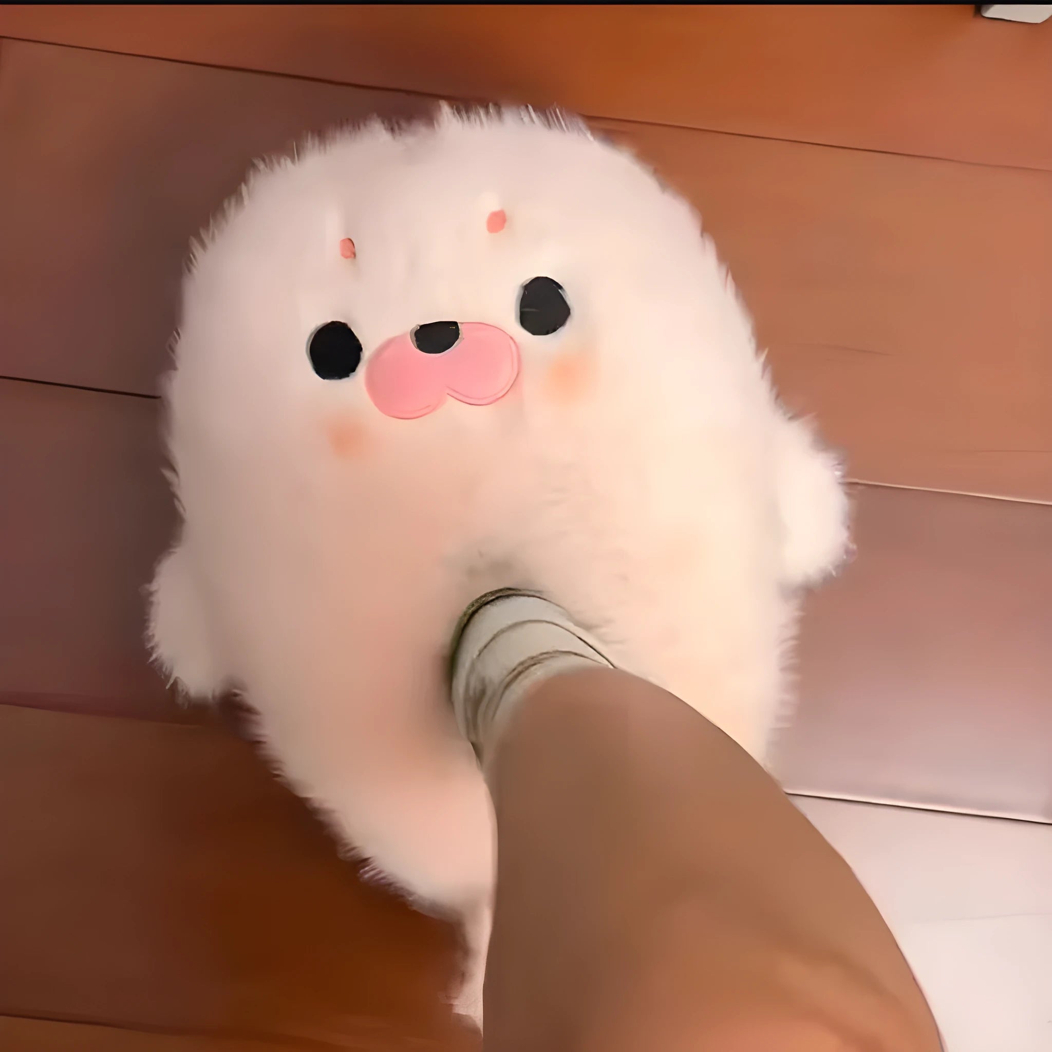Small seal cotton shoes autumn winter warm plush toe cap slippers women cute white