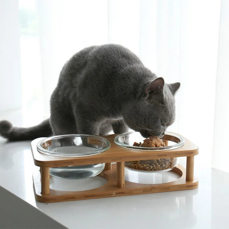 Clear glass cat bowl with 14.7cm diameter and 480ml capacity on stainless steel stand