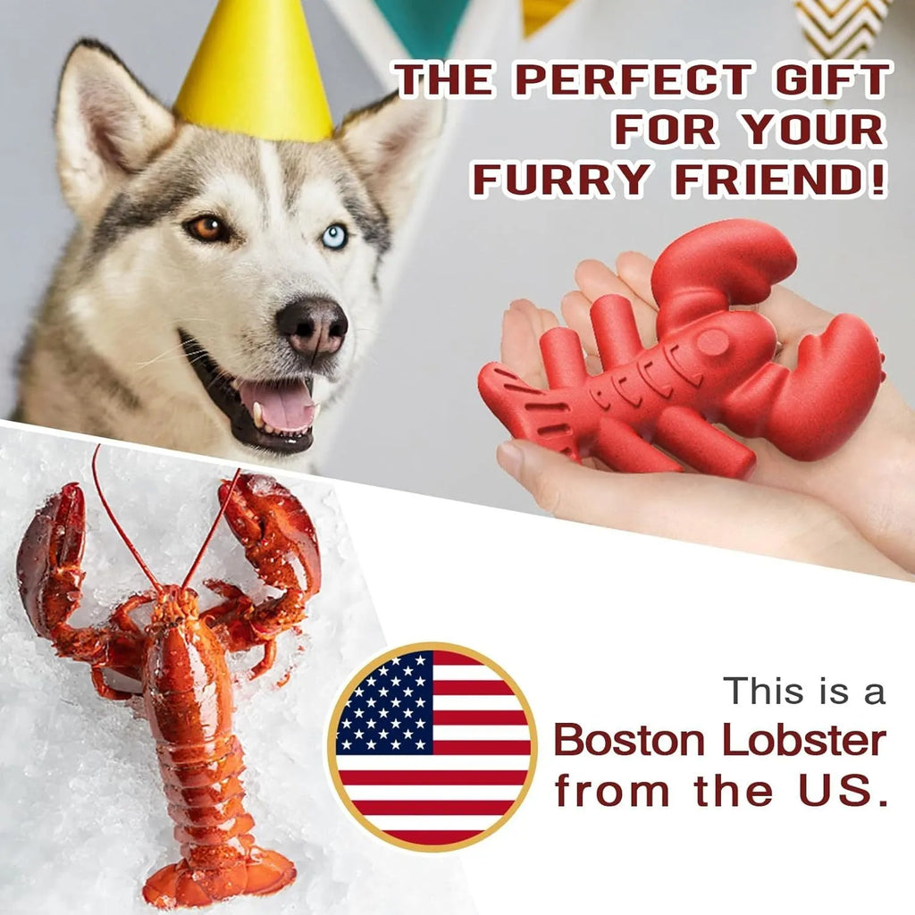 Red hard material dog chew toy for aggressive chewers measuring 170mm for large breed dogs