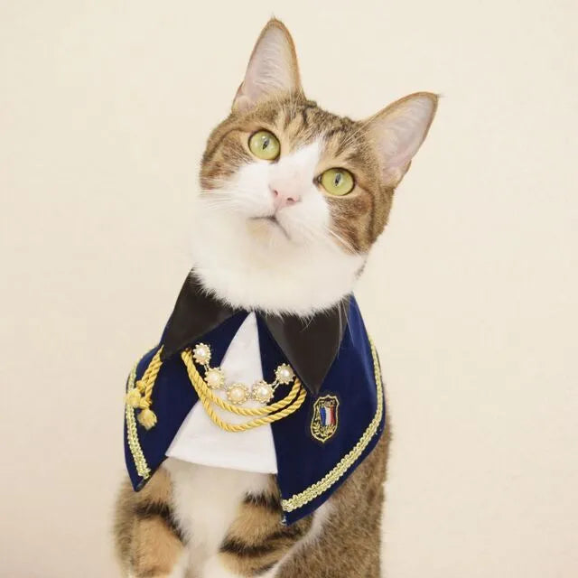 Cat decoration bib in duke suit navy blue polyester for small and large cats