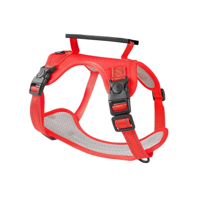 A polyester dog chest harness and lead set shown in a choice of colours including red and blue.