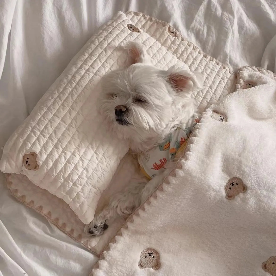 Simple Bear three-piece dog bed set with removable pillow, mattress and comforter in square mat format