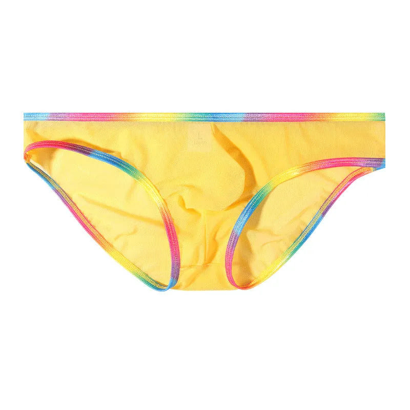 Women's solid colour mesh briefs made from transparent knitted nylon fabric in breathable design.