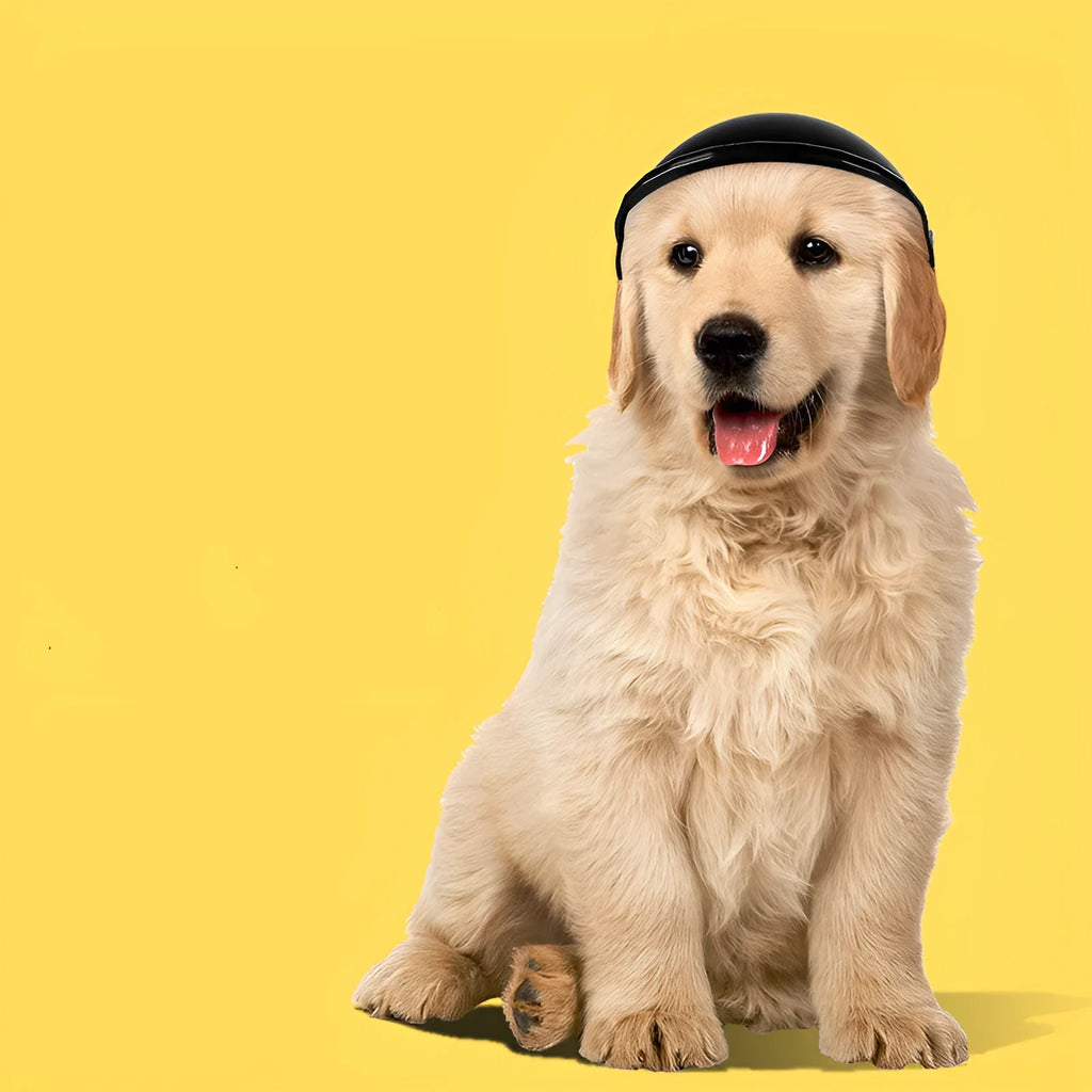 Small S-size plastic pet helmet in pink, black, yellow or green for motorcycle safety