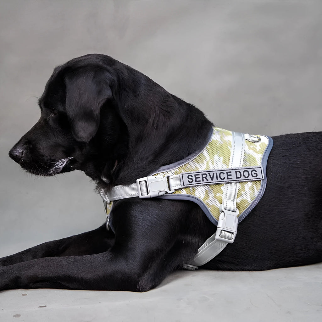 Colourful reflective dog harness with anti-strangulation design in camouflage pattern.