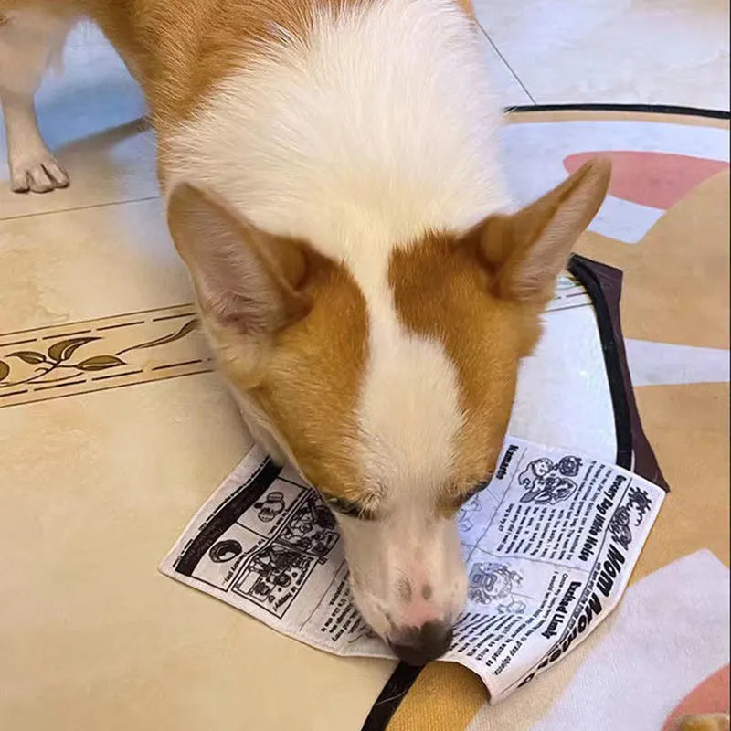 Tearproof squeaking dog toy in playing card or newspaper design for corgi and terrier breeds