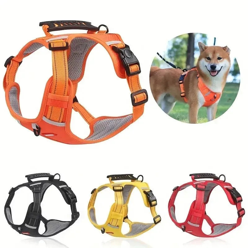 A polyester dog chest harness and lead set shown in a choice of colours including red and blue.