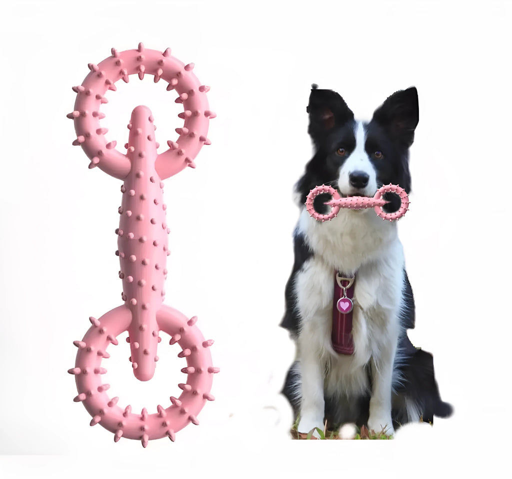 Blue TPR dog chew ring toy for puppy teething, shown next to a scale indicating 16cm length.