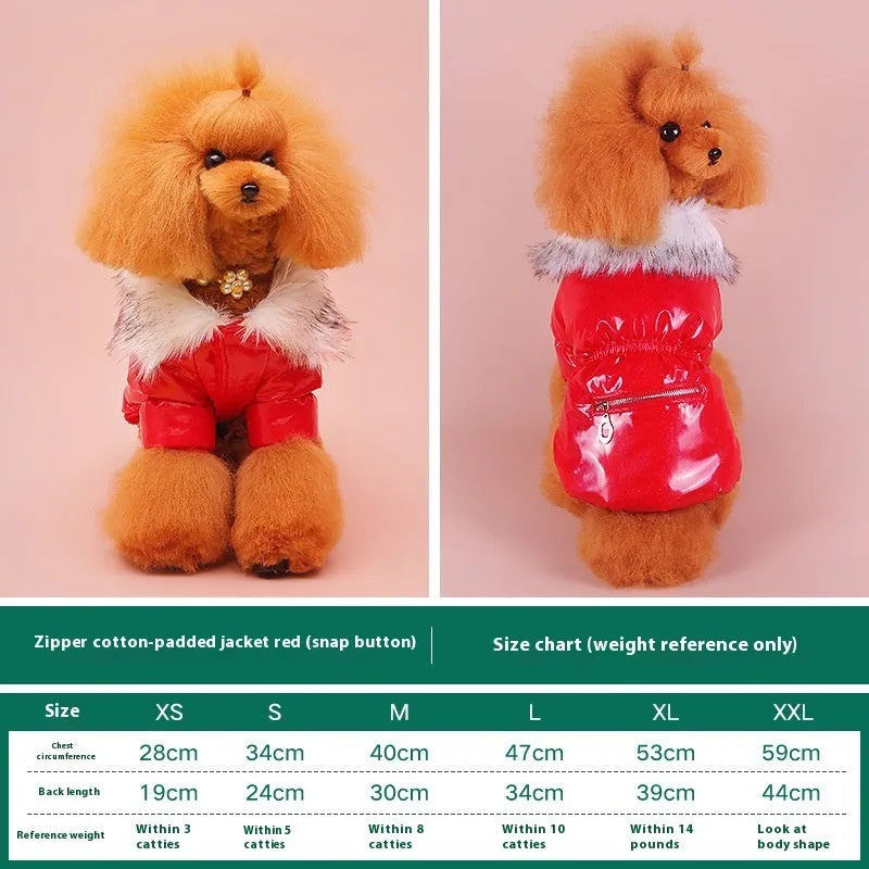 British style blue cotton dog jacket for winter warmth on a small dog, showing size and style.