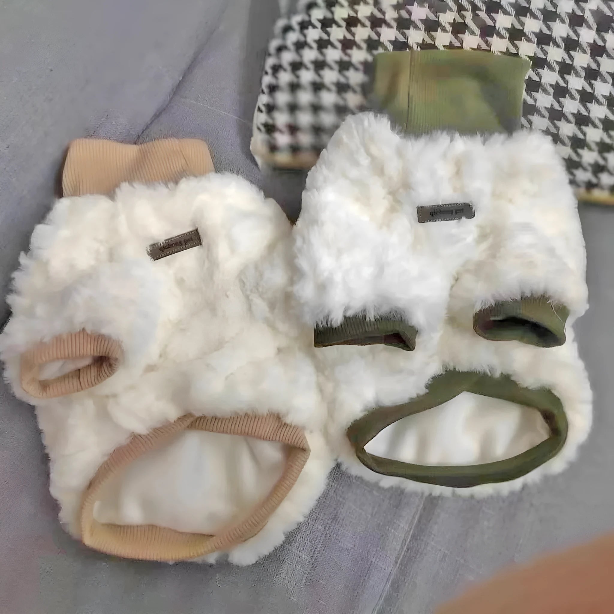 Small dog wearing thick turtleneck winter coat with plush padding in creamy green colour