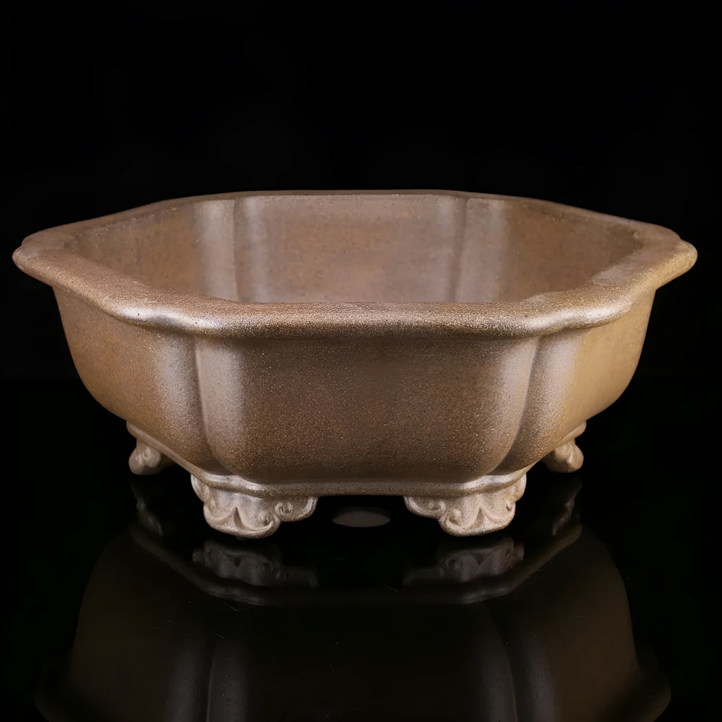 Handmade purple sand bonsai basin shown in hexagonal and begonia styles for Pinus taiwanensis cultivation