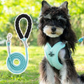 Blue adjustable dog walking vest with handle and matching rope leash set on a white background.