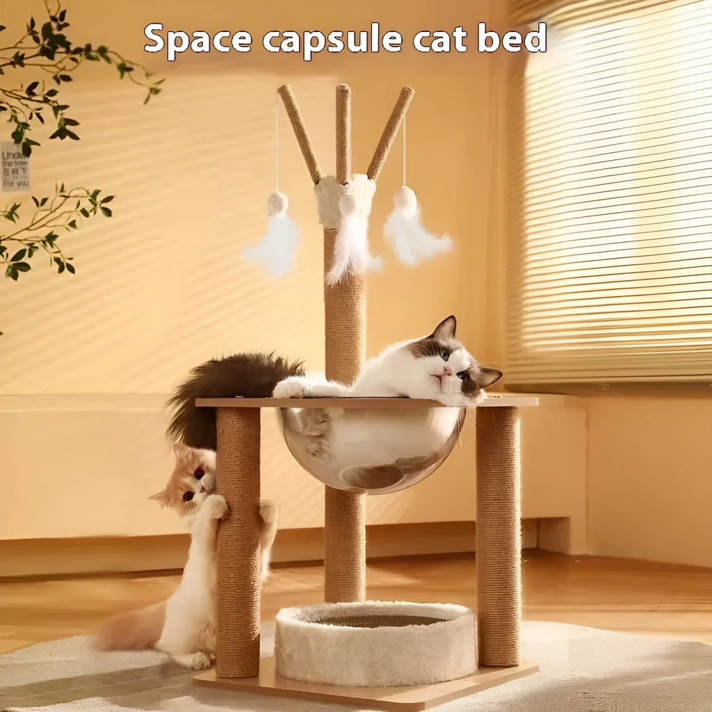 Wooden cat climbing frame with integrated space capsule in luxury colour