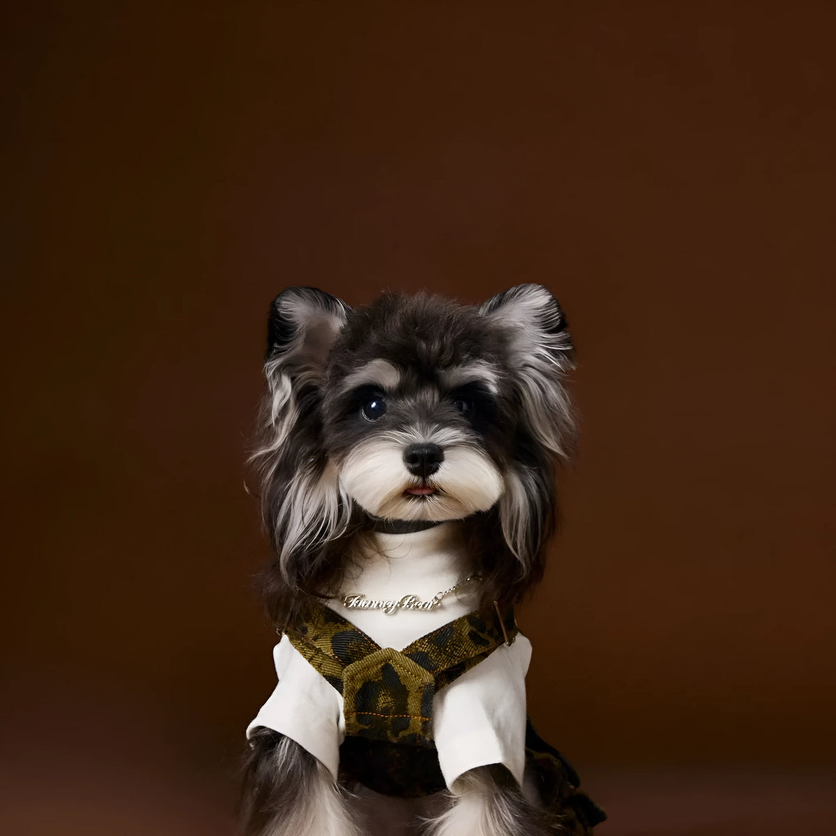 Dog clothes autumn leopard print overalls for pets, cotton material, casual style